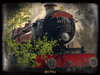 Harry Potter Hogwarts Express Steam Train Jigsaw Puzzle 500 Piece